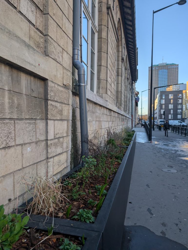 WhatsApp Image 2026-02-04 at 19.47