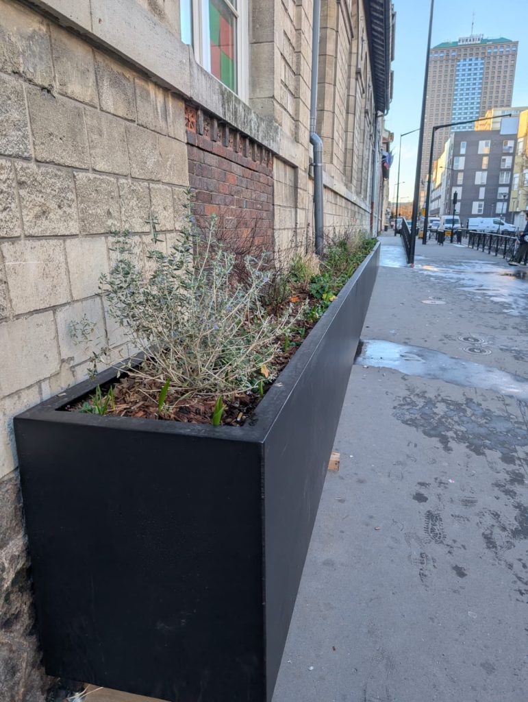 WhatsApp Image 2026-02-04 at 19.47