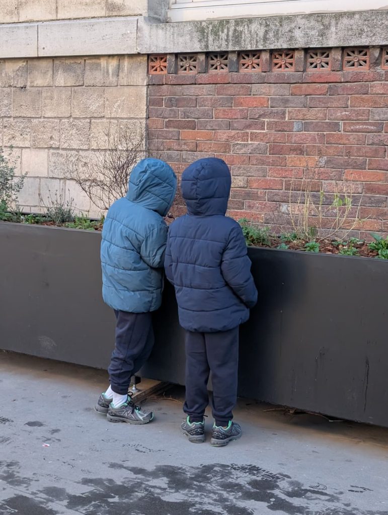 WhatsApp Image 2026-02-04 at 19.47